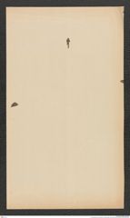 k.k. naturhistorisches Hofmuseum, Intendanzakten 1885-1896 (Hauer), Aktenzahl Z.383/1888, Seite 2